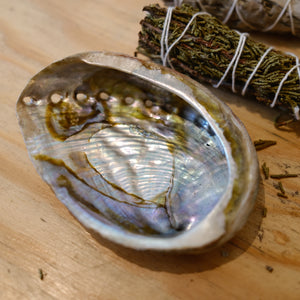 Abalone Smudge Bowls