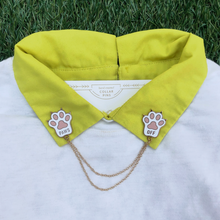 Load image into Gallery viewer, Enamel Collar Pins