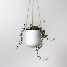 Load image into Gallery viewer, Upcycled Hanging Planter
