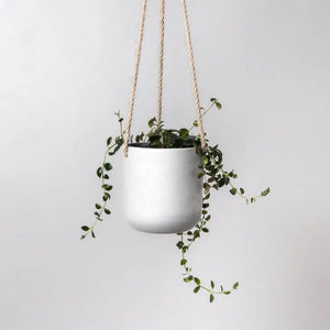 Upcycled Hanging Planter