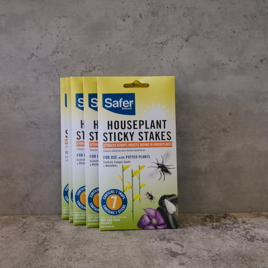 Houseplant Sticky Stakes