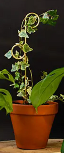 Gold Mini Plant Stakes