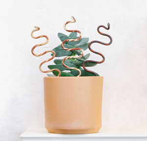 Plant Snake Stake