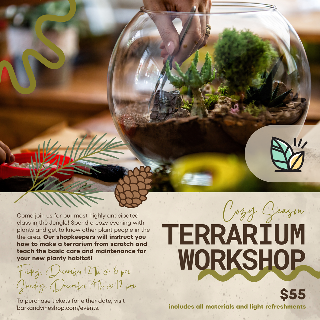 Cozy Season Terrarium Workshop Class