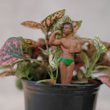 Load image into Gallery viewer, Mini Hunk Gardeners
